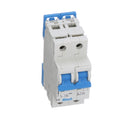 2CU10R - Altech  480V 10A 2 pole circuit breaker - Essential Electric Supply