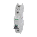 60103 - Schneider Electric Feed-Thru    circuit breaker 10kA@120V - Essential Electric Supply