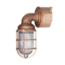 INX1037B - Eaton Crouse-Hinds Lighting and controls 150W Brass Guard