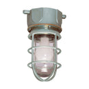 INX1036A - Eaton Lighting and controls 6in Guard