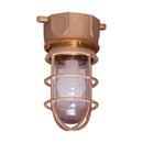 INX4539B - Pauluhn Electric Lighting and controls Reflector