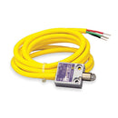 9007MS02S0300 - Telemecanique 9007MS Heavy-Duty Limit Switch, 10A 240VAC, Roller Plunger, Metallic, 1 Pole - Essential Electric Supply