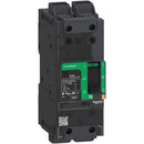 BDL26020 - Schneider Electric Feed-Thru 600V 20A 2 pole circuit breaker 18kA@480V - Essential Electric Supply