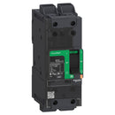 BDL26040 - Schneider Electric PowerPacT B 40A 2-Pole 600Y/347VAC 14kA Interrupt Rating Molded Case Circuit Breaker, Thermal Magnetic Trip, DIN Rail Mount - Essential Electric Supply