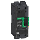 BDL26100 - Square D Feed-Thru 600V 100A 2 pole circuit breaker 18kA@480V - Essential Electric Supply