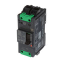 BDL26100 - Schneider Electric Feed-Thru 600V 100A 2 pole circuit breaker 18kA@480V - Essential Electric Supply