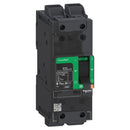 BJL26040 - Square D Feed-Thru 600V 40A 2 pole circuit breaker 65kA@480V - Essential Electric Supply