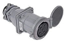 DS3504FP000 - Essential Electric Supply