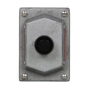 DSD919 - Crouse-Hinds 10A 600VAC 2-Circuit Front-Operated Pushbutton Cover and Device - Essential Electric Supply