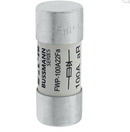 FWP-100A22FA Cooper Bussmann FWP Series Low Voltage - Essential Electric Supply
