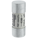 FWP-100A22F Bussmannn FWP Series Low Voltage Fuse
 700V  100A Fuse - Essential Electric Supply