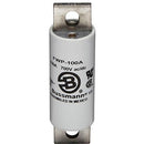 FWP-80A Bussmannn FWP Series Low Voltage Fuse
 700V  80A Fuse - Essential Electric Supply