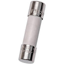 GSD1 Mersen  Low Voltage Fuse
 250V  1A Fuse - Essential Electric Supply