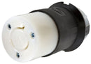 HBL2333 - Essential Electric Supply