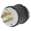 HBL2411 - Hubbell 20A 125/250V 3-Pole 4-Wire Twist-Lock Insulgrip Industrial Male Plug NEMA L14-20P - Essential Electric Supply