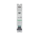 MG17417 - Schneider Electric Bolt-On 240V 30A 1 pole circuit breaker 10kA@240V - Essential Electric Supply