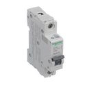 MG24425 - Schneider Electric Bolt-On 240V 1A 1 pole circuit breaker 10kA@240V - Essential Electric Supply