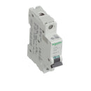 MG24426 - Schneider Electric Bolt-On 240V 2A 1 pole circuit breaker 10kA@240V - Essential Electric Supply