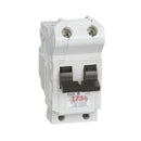 NB2P100 - Federal Pioneer Bolt-On 240V 100A 2 pole circuit breaker 10kA@240V - Essential Electric Supply