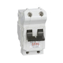 NB2P125 - Federal Pioneer Bolt-On 240V 125A 2 pole circuit breaker 10kA@240V - Essential Electric Supply
