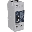 NGG2B125L - Siemens 125A 600V 2-Pole Molded Case Circuit Breaker Thermal Magnetic Trip - Essential Electric Supply