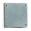 S1002G SA - Eaton Crouse-Hinds Conduit & Fittings Blank Cover