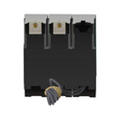 THQB2190ST1 - General Electric 90 Amp 240 Volt 2 Pole Bolt-On Molded Case Circuit Breaker - Essential Electric Supply