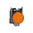 XB4BVB5 - Essential Electric Supply