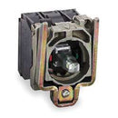 ZB4BW0G53 Square D Co XB4 Series Metal Push Button Operator Interface, IP66/IP69K Rated - Essential Electric Supply