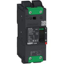 BJL26060 - Square D Feed-Thru 600V 60A 2 pole circuit breaker 65kA@480V - Essential Electric Supply