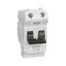 NA2P100 - Federal Pioneer Plug-In 240V 100A 2 pole circuit breaker 10kA@240V - Essential Electric Supply