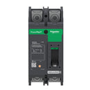 QBL22100 - Square D PowerPact Q 100A 2-Pole 240V Molded Case Circuit Breaker, Thermal Magnetic, 10kA Interrupt, UL/CSA/IEC - Essential Electric Supply