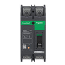QBL22200 - Square D 200 Amp 240VAC 2 Pole PowerPact QBL Thermal Magnetic Circuit Breaker - Essential Electric Supply