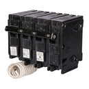 Q310000S07 - Essential Electric Supply