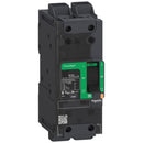 BDL26015 - Schneider Electric Feed-Thru 600V 15A 2 pole circuit breaker 18kA@480V - Essential Electric Supply