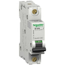 MG24508 - Square D Bolt-On 240V 16A 1 pole circuit breaker 10kA@240V - Essential Electric Supply