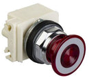 9001KR9P1RH2 Square D Co Automation Luminous Red Push Button Component - Essential Electric Supply