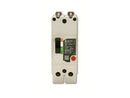 TEYH2060B - General Electric 60A 2 Pole Bolt-On Circuit Breaker 277/480V 35kA Thermal Magnetic - Essential Electric Supply