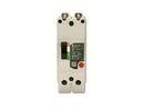 TEYL2015B - General Electric 15A 480V 2 Pole Bolt-On Circuit Breaker TEYL Series - Essential Electric Supply