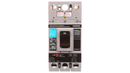 FXD62B125L - SIemens Feed-Thru 125 Amp 2 Pole Circuit Breaker - Essential Electric Supply